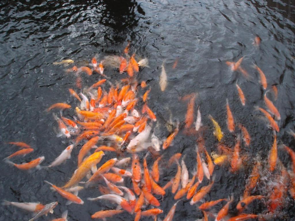 Spring Fountain Hotel Джиаоси Екстериор снимка